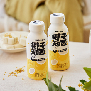 椰子知道0糖金桂鲜椰汁秋季 瓶26年4月到期 饮料生椰拿铁280ml