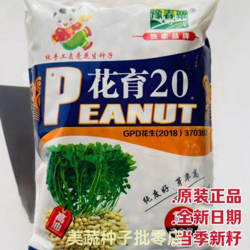 0花育2花生种子早熟罗汉果薄皮矮杆抗倒高产高油食兼用品质佳春播