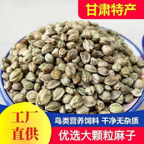 麻子鹦鹉粮大颗粒甘肃特产和尚小太阳专用纸壳纸皮麻子鸽粮鸟食