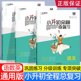一飞冲天小升初全程总复习语文数学英语人教版精通版部编天津中考毕业升学系统总复习资料专项训练辅导书知识大集结教辅书