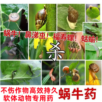 蜗牛颗粒药专用农药鼻涕虫福寿螺蛞蝓通杀蔬菜园艺花卉特效杀虫剂