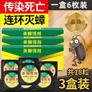 一点绝蟑螂药一锅端甲由药曱甴药饵脏樟榔螳螂药家用非无毒全窝端