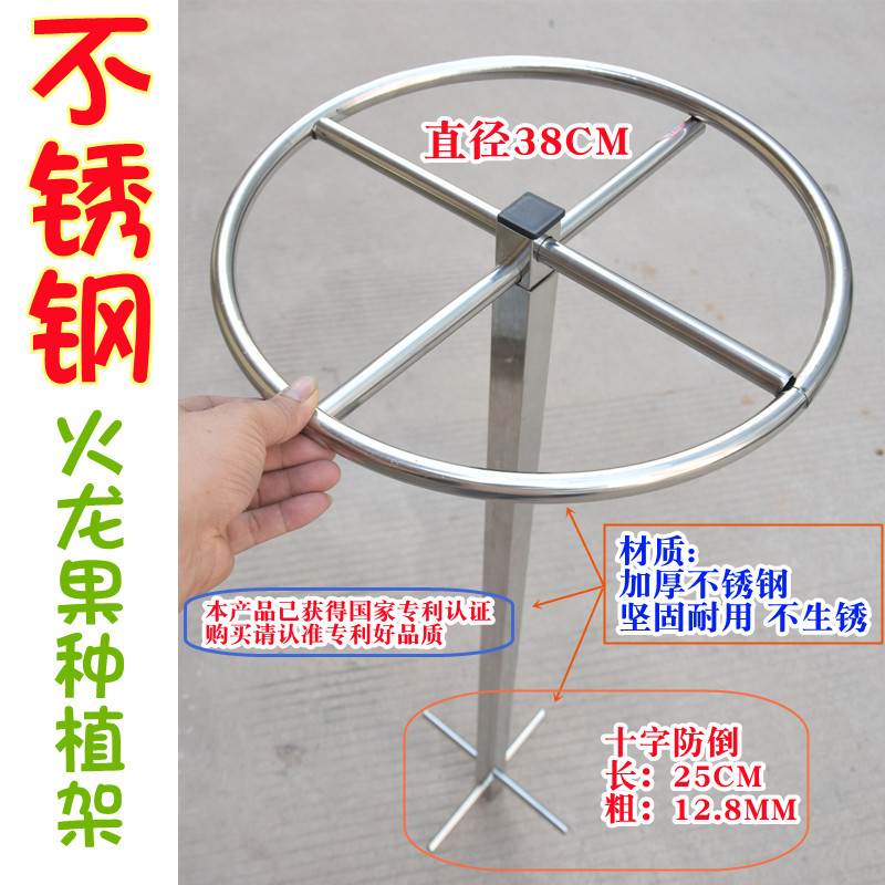 果苗顶圈花架盆栽火龙果支架不锈钢免埋种植专用架地栽爬藤支撑架