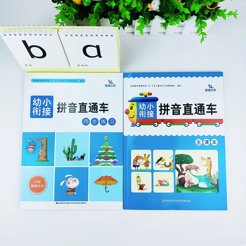 幼小衔接拼音直通车 教材+练习+拼音卡 幼儿园大班数学算数本加减法 测试卷一日一练标准整合教材 幼儿园识字练习幼升小