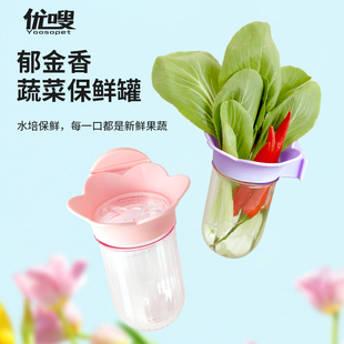 优嗖鹦鹉食盒水培瓶蔬菜豆苗保鲜罐玄凤和尚花插蓄水喂食器悬挂式