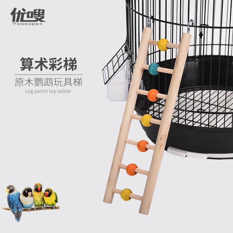 鹦鹉鸟算术彩色梯子玩具娱乐