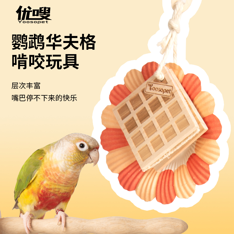 实木天然材质安心啃咬
