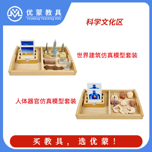 蒙台梭利器官知名建筑仿真模型