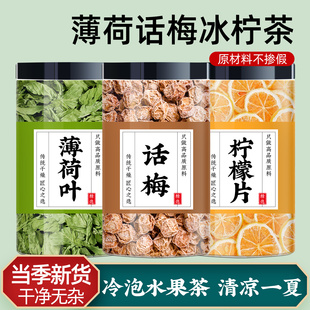 薄荷话梅冰柠青柠茶冷泡立秋养生茶润燥水适合女士泡水喝的养生茶