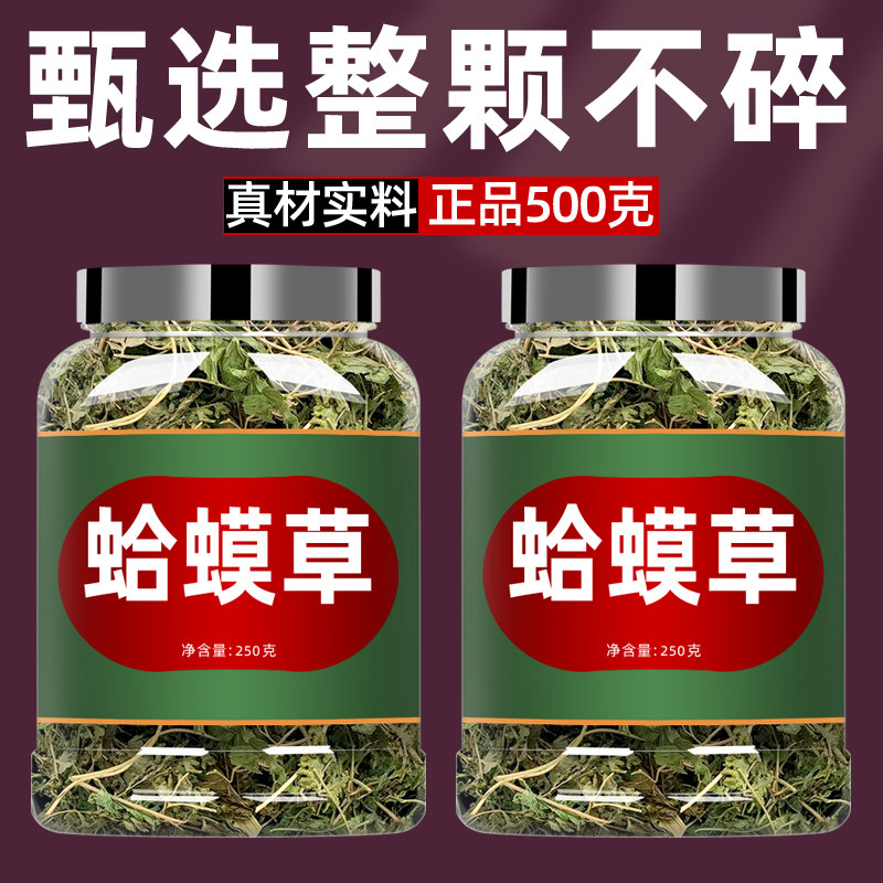 中药蛤蟆草新鲜中草药干货荔枝草赖蛤蟆草正品非野生蛤蟆草的功效