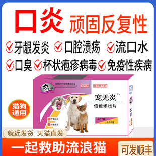 宠物狗狗猫咪顽固口炎口腔溃疡牙龈消炎红肿溃烂杯状用口服特效药