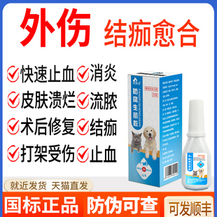 防腐生肌散狗狗猫咪外伤口愈合止血防感染皮肤流脓炎症溃烂杀菌药
