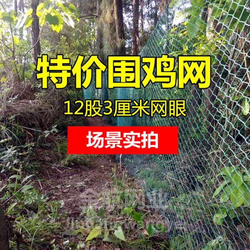 防鸡尼龙网拦鸡网鸭网隔离网围栏网安全网塑料网大棚养鸡网防护网