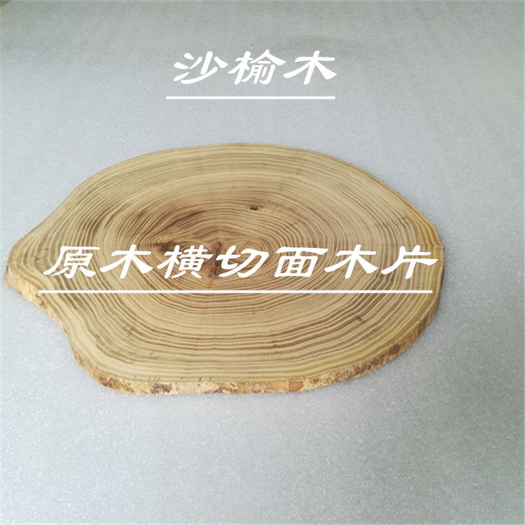 紫榆君家居年轮木板榆木年轮大小木片diy桌子木板横切面天然木片
