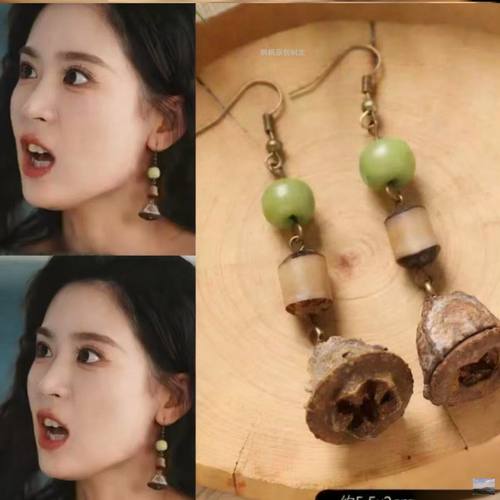 难撩翟一莹关枝同款植物果实耳环趣味耳钉个性撞色长款串珠耳饰女