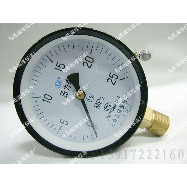 Y100 0-25MPA/普通压力表/上海正保仪表厂