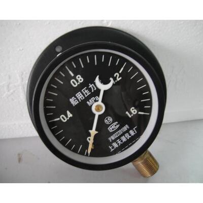 船用压力表Y-100T 0-0.6/1/1.6MPA径向带后边带夜光压力表 全规格