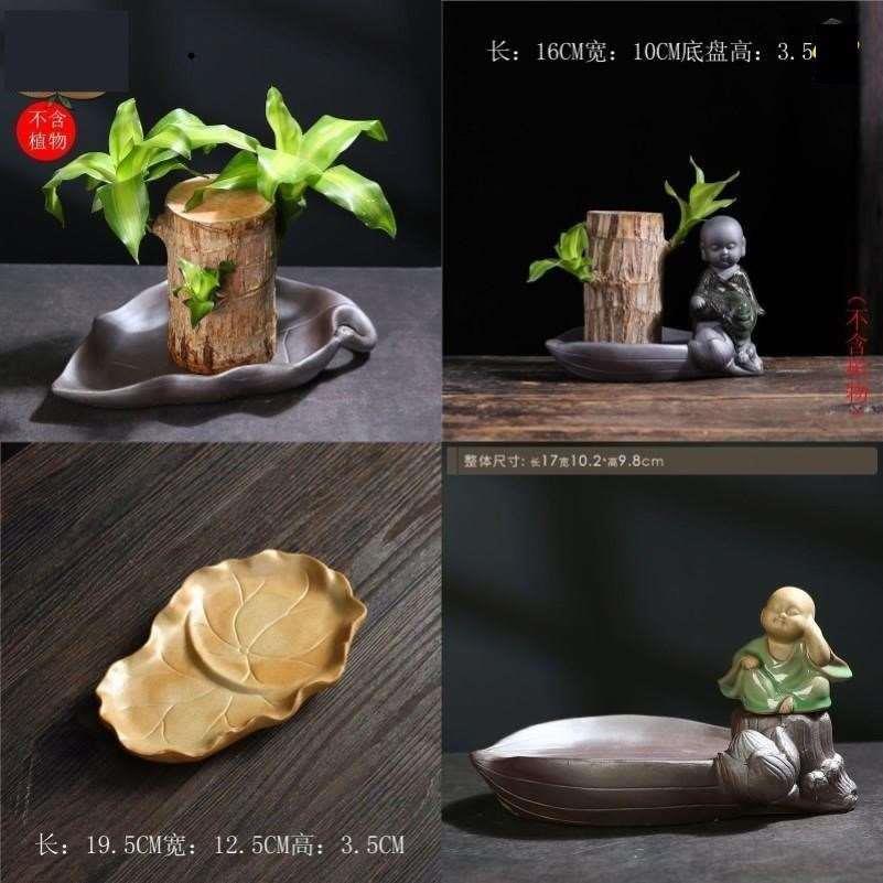 巴西木盆器盆栽盆器陶瓷巴西幸运木花盆盆景花盆陶瓷水培专用托盘