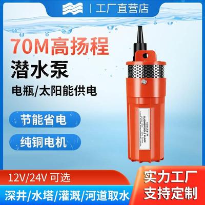 潜水泵深井用水12V24V滴灌喷灌家用直流小型电瓶高扬程高压抽水泵