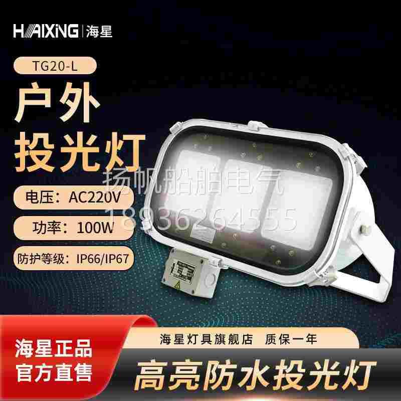 海星灯具海星海事船用LED不锈钢投光灯TG20-L