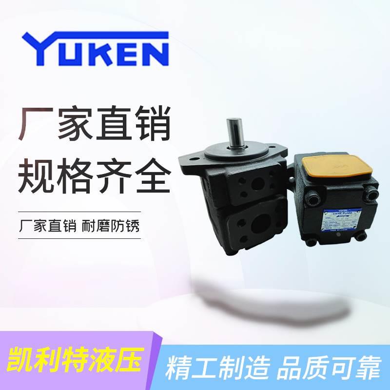 油研PV2R12-14/17/19/23/25-41/47/53/59-F-REAAA-40/41液压油泵