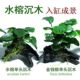 鱼缸真水草净水新手水榕沉木活体水族箱造景装 饰懒人沉底不用底砂