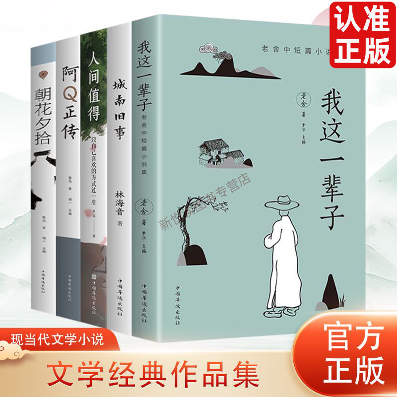 册励志书籍青春文学散文