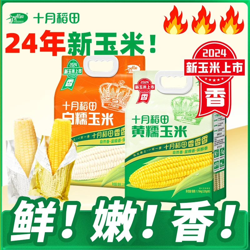 十月稻田黄白糯玉米品牌直供