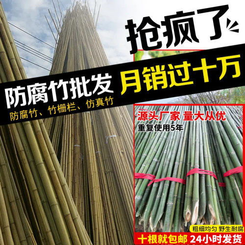 小竹杆爬藤架竹竿菜园搭