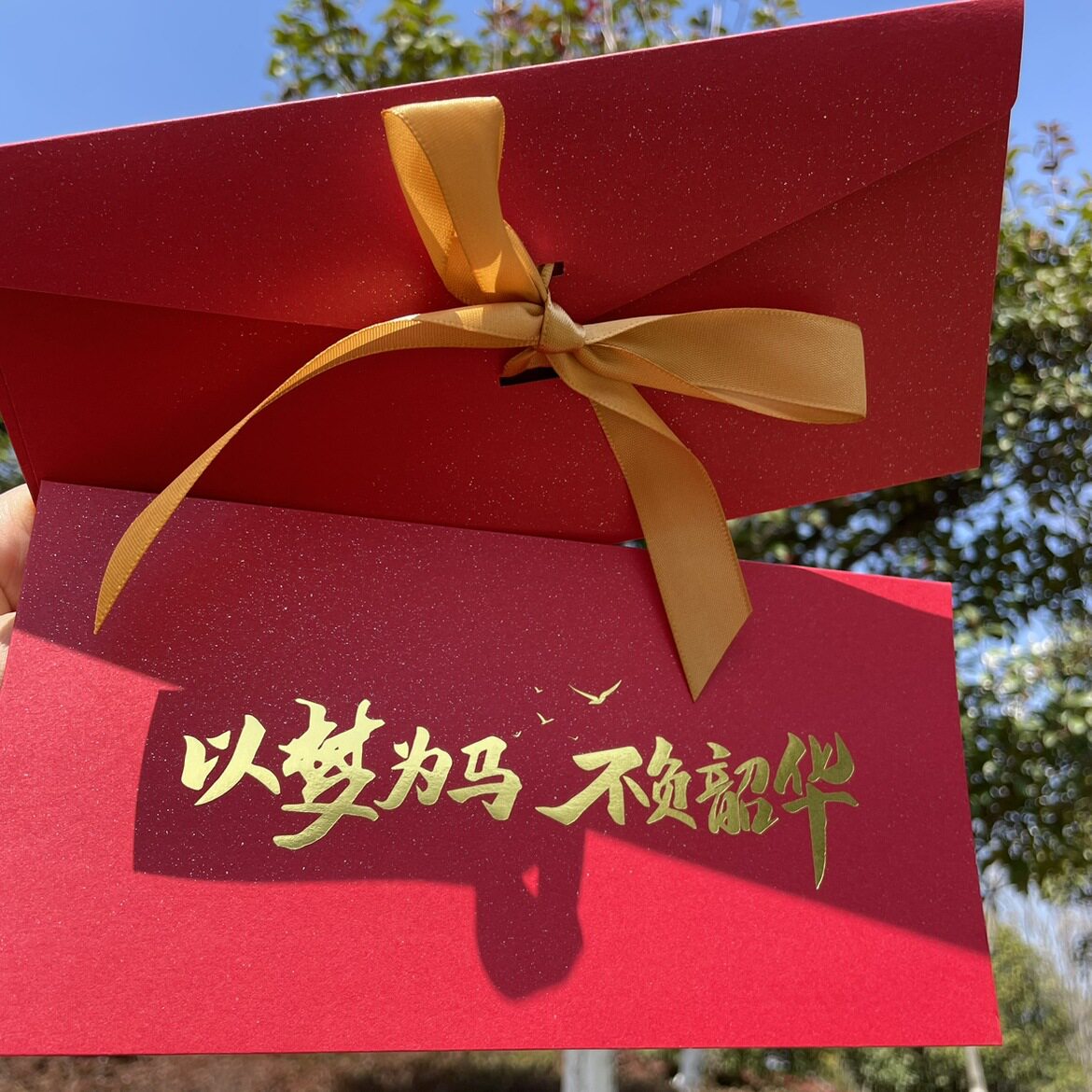 高考感谢信成人礼十岁礼百日誓师信封家书中考十八岁一封青春成长