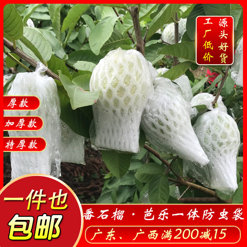 网袋芭乐套袋番石榴防虫包果袋套水果保护袋加厚一体防虫套袋