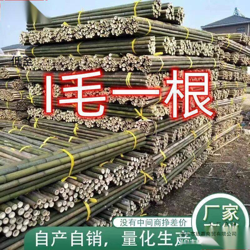 *竹竿子搭架竹架子竹子杆菜园竹竿豆角黄瓜西红柿瓜果蔬菜爬藤架