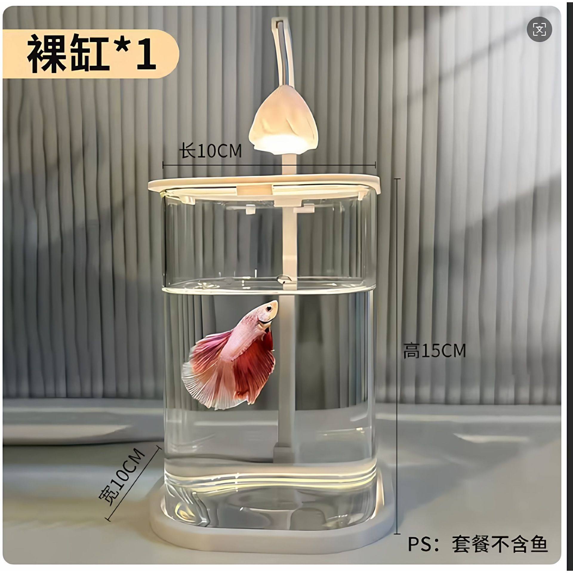 斗鱼专用小鱼缸玻璃造景观赏鱼微景缸装饰diy创意摆件高颜值桌面