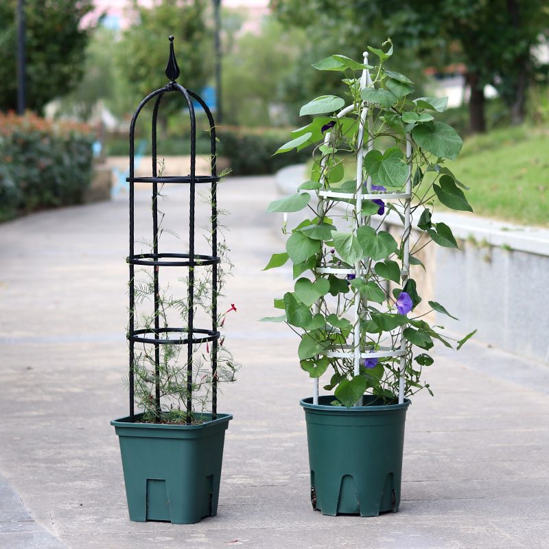 园艺爬藤花支架植物月季铁线莲紫藤支架攀爬花架阳台支撑架8mm厂