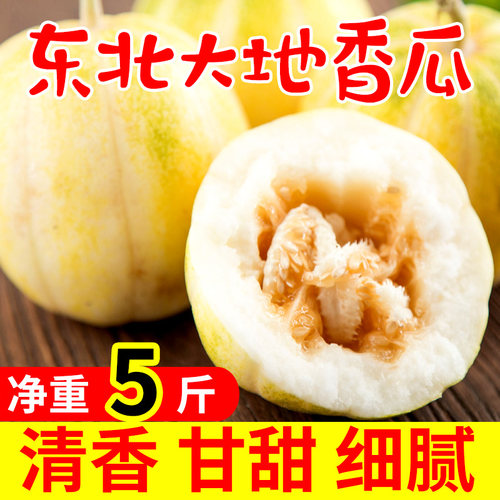 香甜多汁东北味儿好吃停不下来