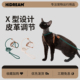 HiDREAM穿行跃动猫胸背带套装 可调节X字形防挣脱猫牵引绳遛猫绳