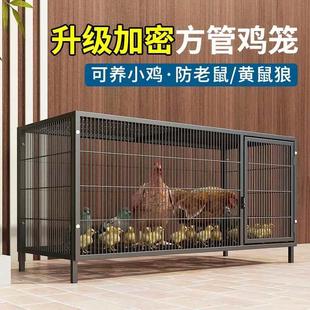 鸡笼子养殖笼家用折叠笼加粗大号加固铁鸭笼鹅笼狗笼鸡笼厂家直销