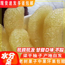 重庆梁平柚子新鲜当季水果梁平柚梁山柚平顶麻柚现摘现发带箱10斤