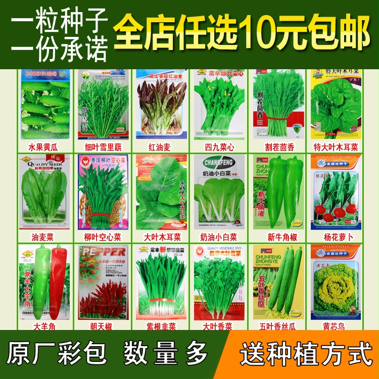 蔬菜种子阳台庭院四季播水果黄瓜菠菜小葱香菜韭菜草莓香菜种籽