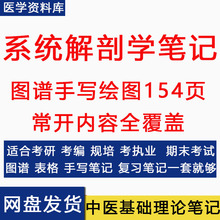 2025考研医学系统解剖学霍琨笔记霍琨板书整理学霸笔记解剖图手写