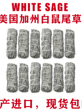 美国加州白鼠尾草净化white sage 植物香薰 雪松杖秘鲁圣木