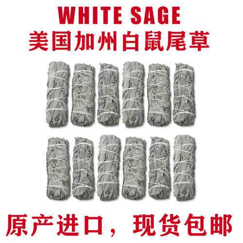 美国加州白鼠尾草净化white sage 植物香薰 雪松杖秘鲁圣木