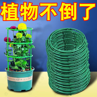 昙花专用支架多层可伸缩爬藤架子花月季花架室内花卉绿萝铁线莲