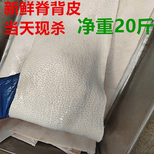 商用猪皮新鲜冷冻精品猪大皮纯脊背皮猪肉皮新鲜猪皮10斤20斤