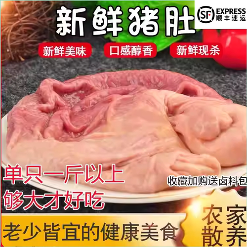 新鲜大土猪猪肚够厚够好吃