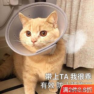 伊丽莎白圈猫咪项圈脖猫伊利沙白宠物狗狗头套防咬防舔耻辱圈用品