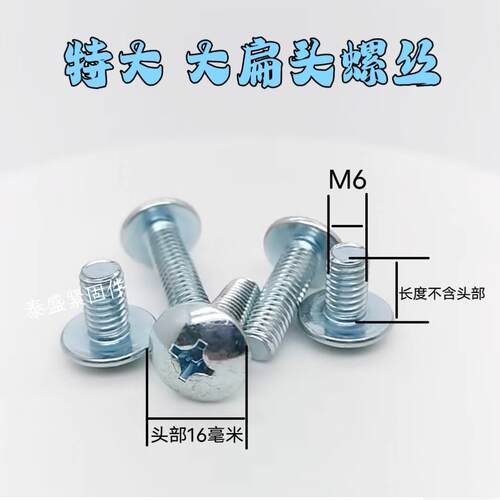 大扁头螺丝M6电动车螺丝特大大扁头螺钉加大超大扁头机钉牌照螺丝