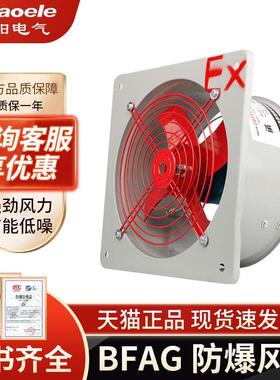 防爆轴流风机BFAG-300/400工业排风扇220V380V强力排风机防爆风机