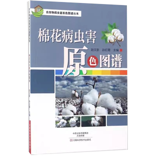 棉花病虫害原色图谱9787534983696科学出版 社书籍KX 书