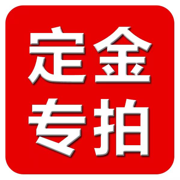 定金专拍